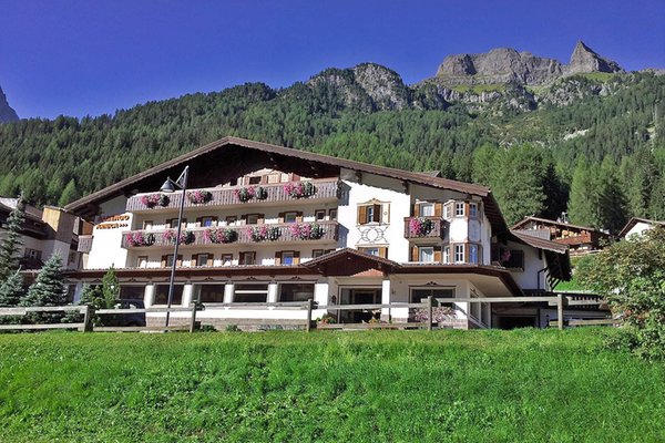 Foto esterno in estate Arnica