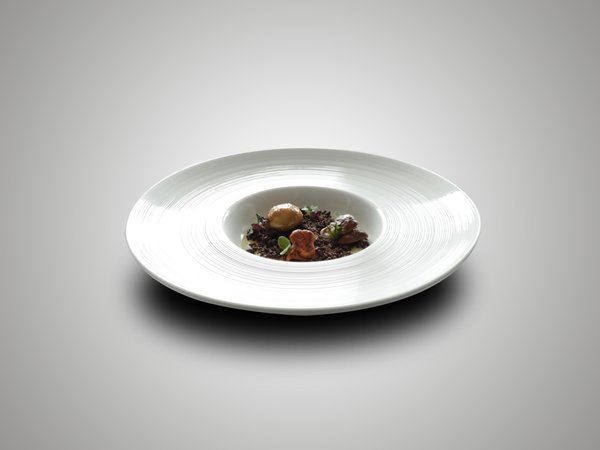 Recipes and gourmet-dishes Carlo Valentini