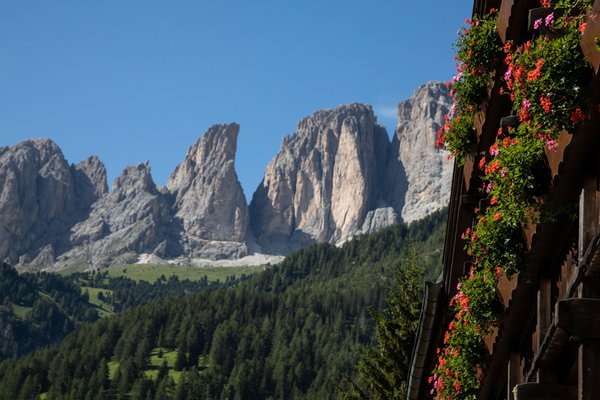 Foto esterno in estate Medil Wellness & Beauty
