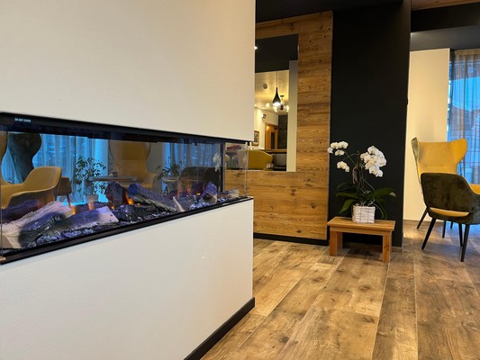 Le parti comuni Hotel Flora Alpina