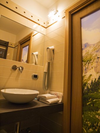 Foto del bagno Hotel El Paster