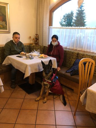The restaurant Pozza di Fassa Alpine Touring Hotel
