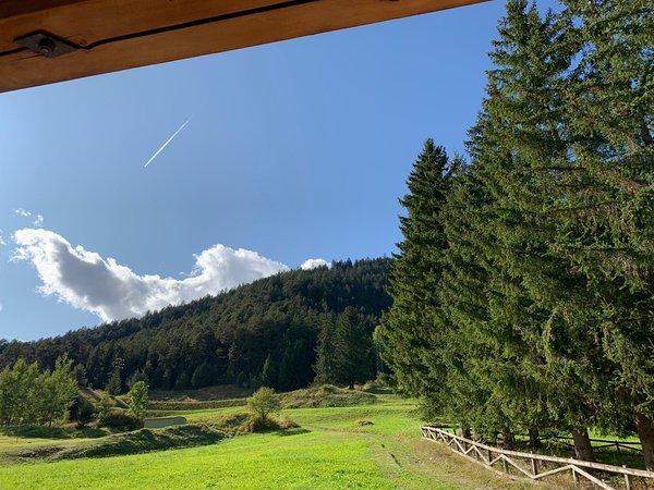 Vista dalla struttura
