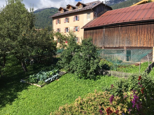 Photo of the garden Vigo di Fassa