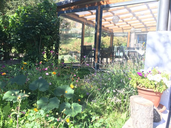 Photo of the garden Vigo di Fassa