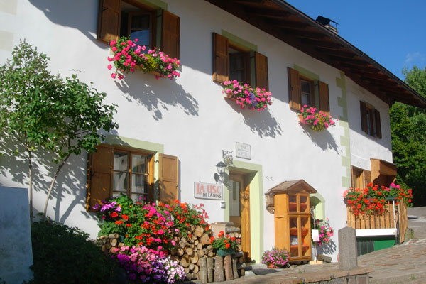 Photo exteriors Bed & Breakfast Achillea
