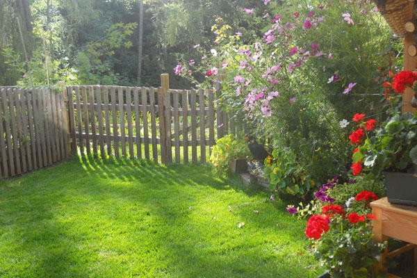 Photo of the garden Vigo di Fassa
