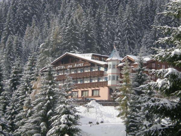 Foto invernale di presentazione Des Alpes - Albergo 3 stelle