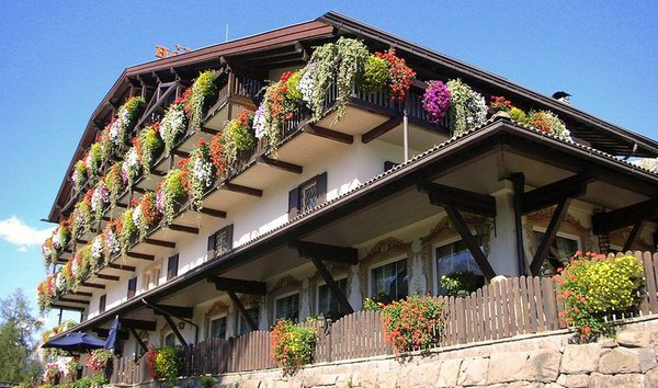 Sommer Präsentationsbild Belvedere Dolomites Flower Hotel