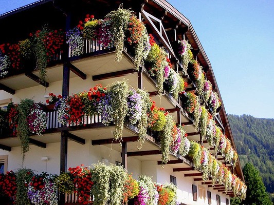 Photo exteriors Belvedere Dolomites Flower Hotel