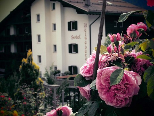 Photo exteriors Belvedere Dolomites Flower Hotel