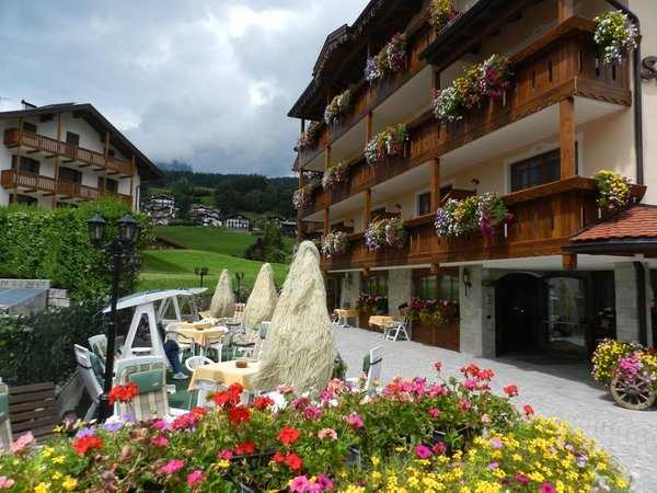 Foto esterno in estate Stella Alpina