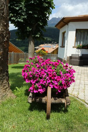Foto del giardino Moena