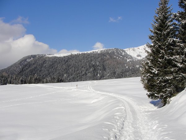 Gallery inverno