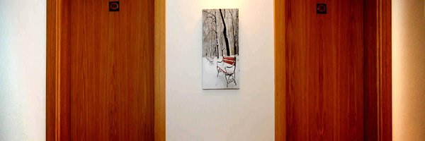 Foto di alcuni dettagli Bucaneve
