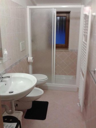 Foto del bagno Hotel Bucaneve