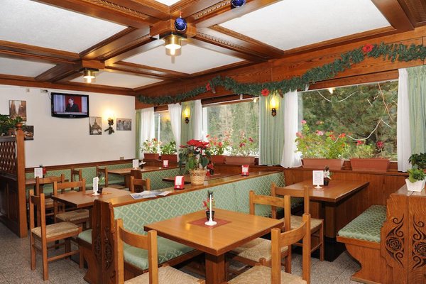 Foto del bar Hotel Bucaneve