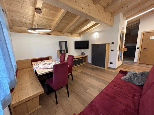 The living area Apartments Cèsa Pitscheider
