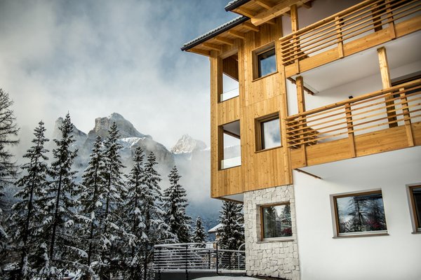 Foto esterno in inverno Larix