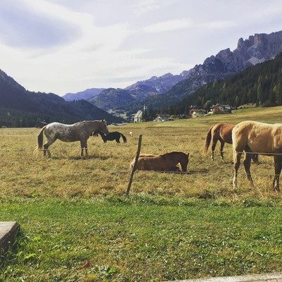 Gallery Val di Fassa