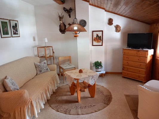 The living area Apartment Ciasa Cinzol
