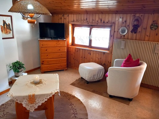 The living room Apartment Ciasa Cinzol