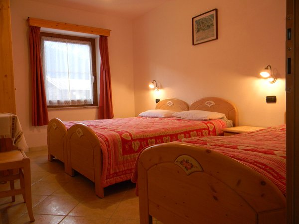 Photo of the room Apartments Deluca