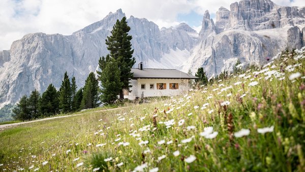 Foto esterno in estate Ütia Forcelles