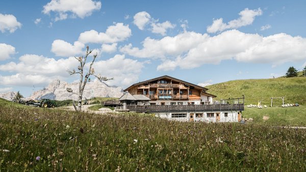 Sommer Präsentationsbild Berghütte Punta Trieste