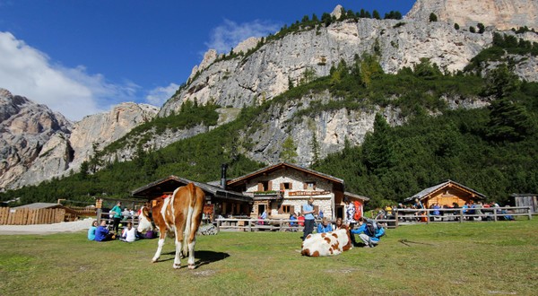 Foto esterno Rifugio Scotoni