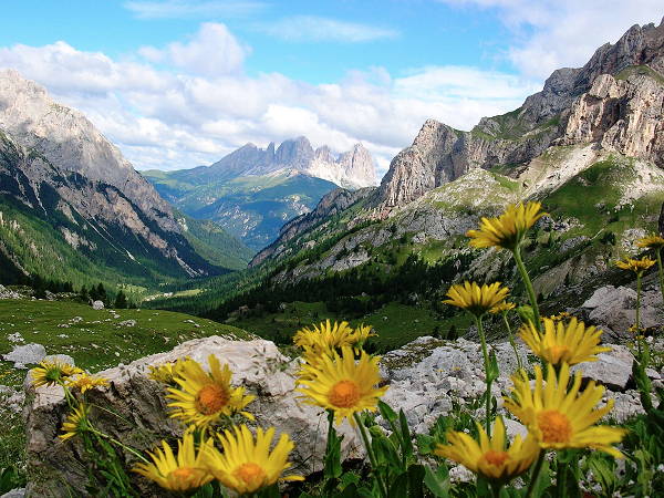 Panorama Pera di Fassa