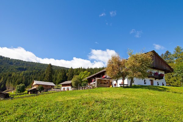 Foto esterno in estate Waldealm