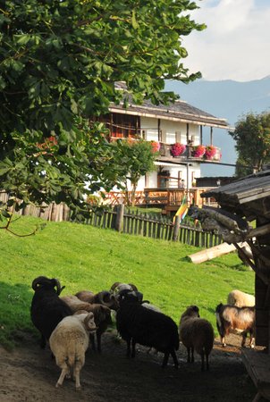 Foto del giardino Monguelfo
