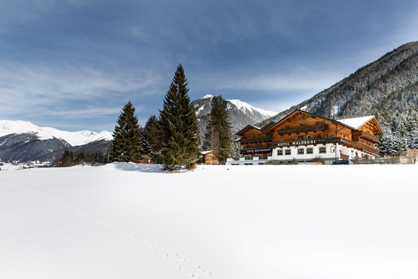 Foto esterno in inverno Waldruhe