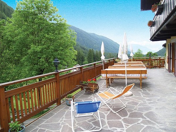 Photo of the terrace