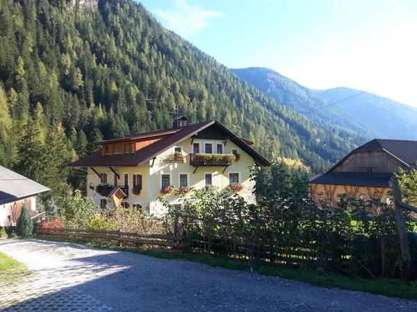 Photo exteriors in summer Farm bar Dorfmüllerhof