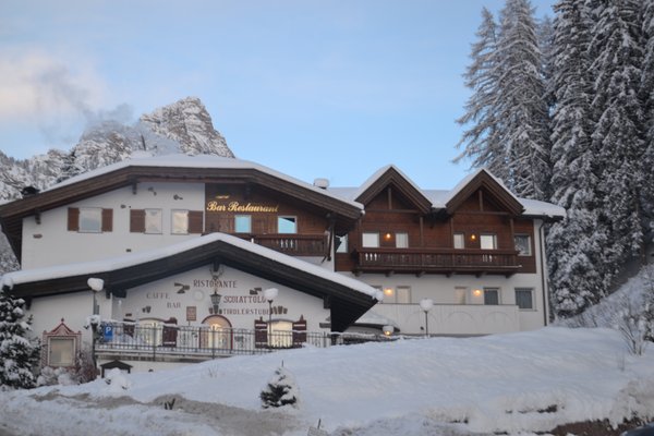 Foto esterno in inverno Scoiattolo