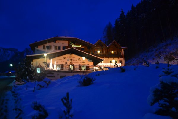 Foto esterno in inverno Scoiattolo