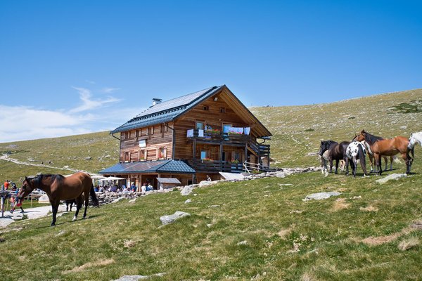 Sommer Präsentationsbild Berghütte mit Zimmern Resciesa