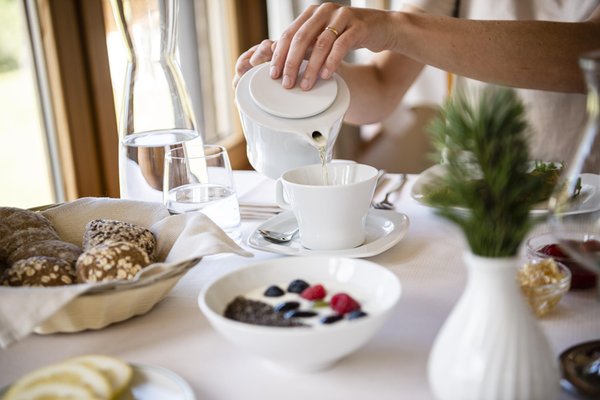 La colazione Hotel Steger-Dellai