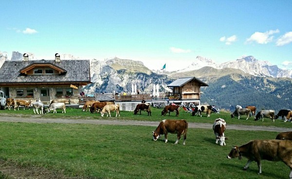 Foto Außenansicht La Ciasela Berg Restaurant