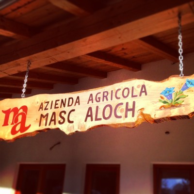 Foto di alcuni dettagli Aloch