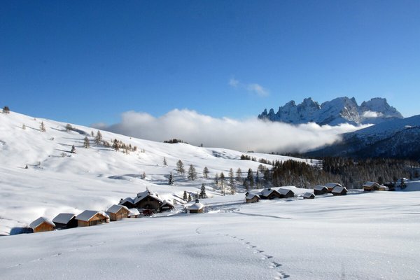 Position Mountain hut Fuciade Passo San Pellegrino