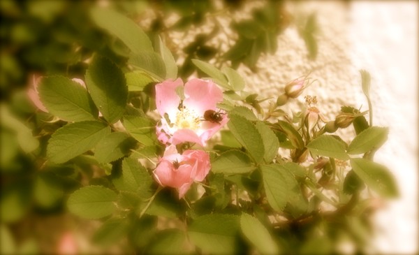 Photo gallery