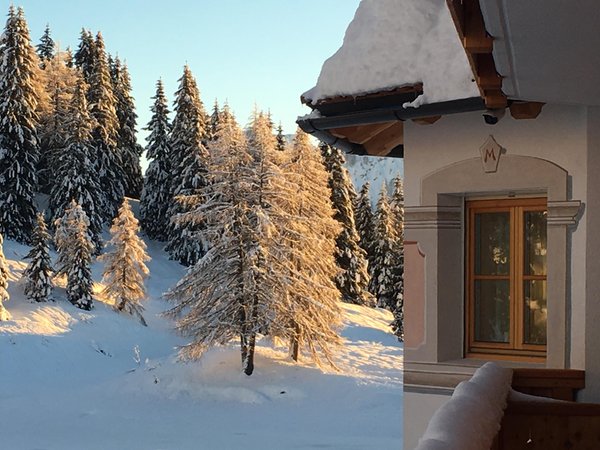 Foto esterno in inverno La Stua de Zach