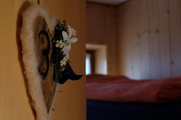 Foto di alcuni dettagli Roda di Vaèl - Rotwandhütte