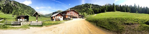 Foto esterno in estate Micheluzzi