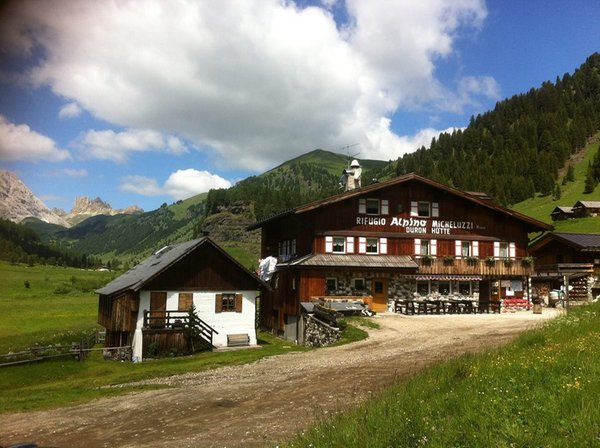 Foto esterno in estate Micheluzzi