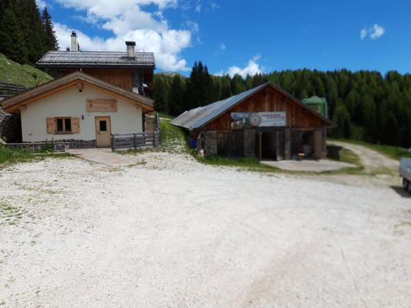 Foto estiva di presentazione Malga Boer