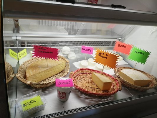 Il cibo